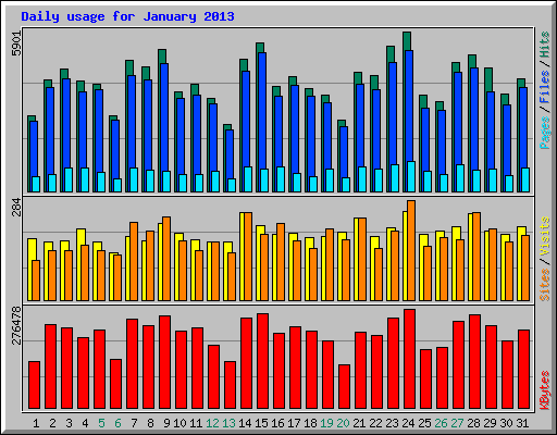 Daily usage for January 2013