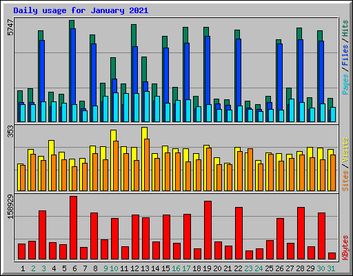 Daily usage for January 2021