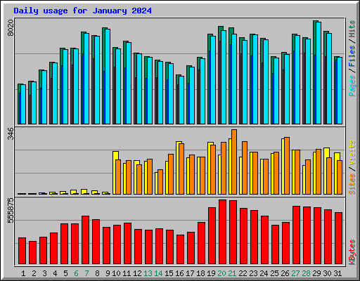 Daily usage for January 2024