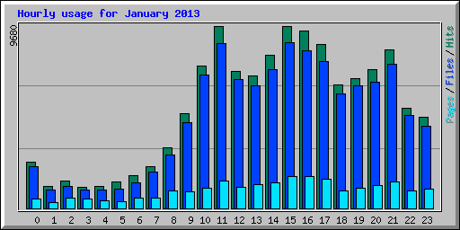 Hourly usage for January 2013