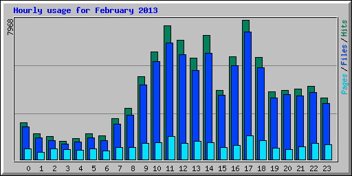 Hourly usage for February 2013