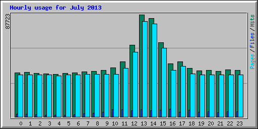 Hourly usage for July 2013