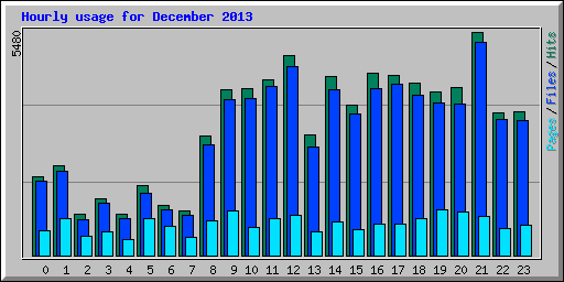 Hourly usage for December 2013