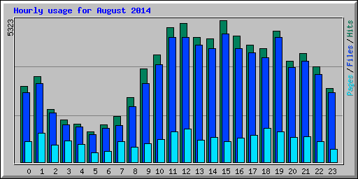 Hourly usage for August 2014