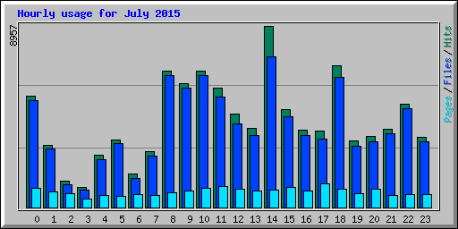 Hourly usage for July 2015