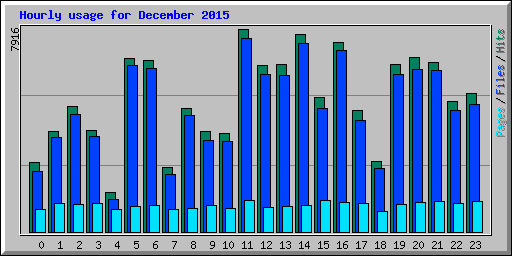 Hourly usage for December 2015