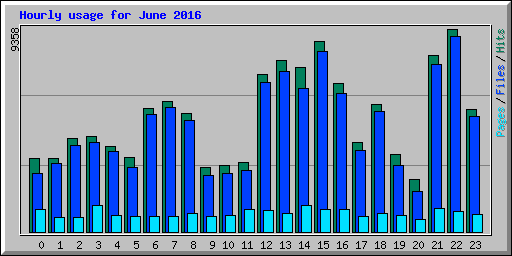 Hourly usage for June 2016