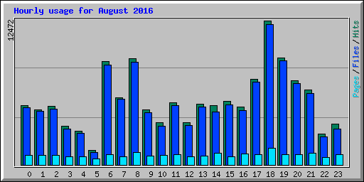 Hourly usage for August 2016