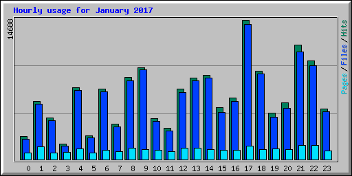 Hourly usage for January 2017