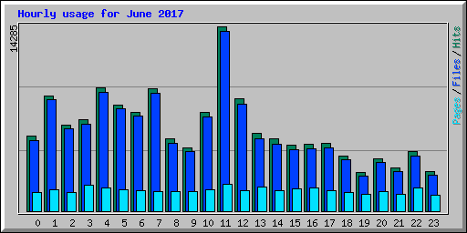 Hourly usage for June 2017