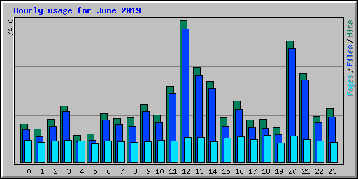 Hourly usage for June 2019