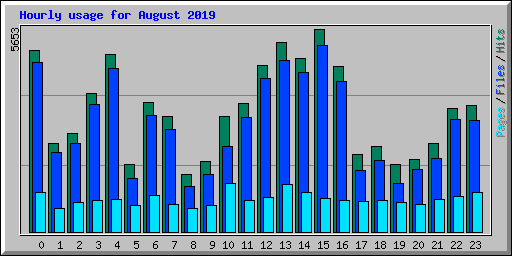 Hourly usage for August 2019