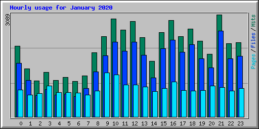 Hourly usage for January 2020