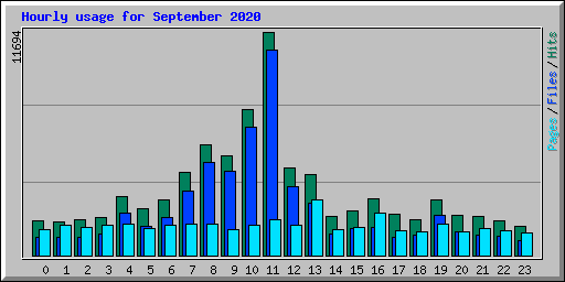 Hourly usage for September 2020