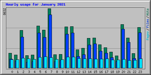 Hourly usage for January 2021