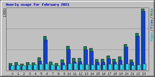 Hourly usage for February 2021