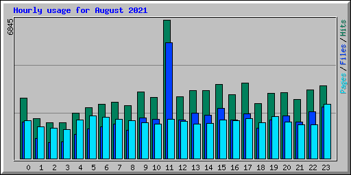 Hourly usage for August 2021