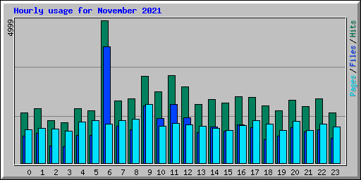 Hourly usage for November 2021