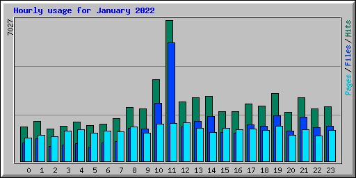 Hourly usage for January 2022