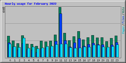 Hourly usage for February 2022