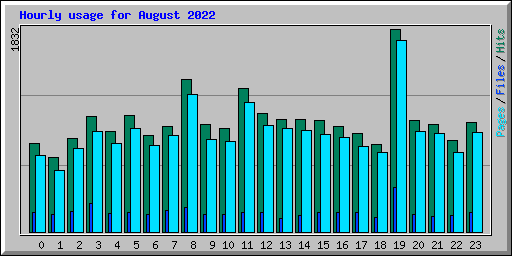 Hourly usage for August 2022