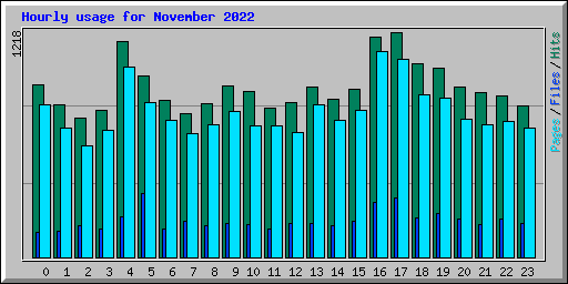 Hourly usage for November 2022