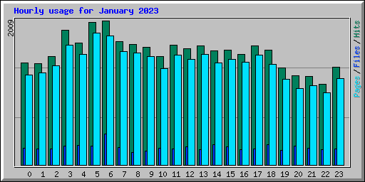 Hourly usage for January 2023