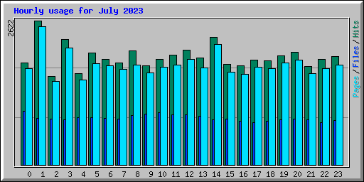 Hourly usage for July 2023