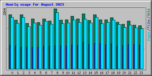 Hourly usage for August 2023