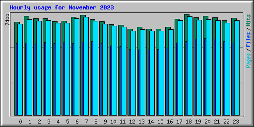 Hourly usage for November 2023