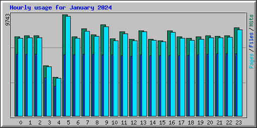 Hourly usage for January 2024