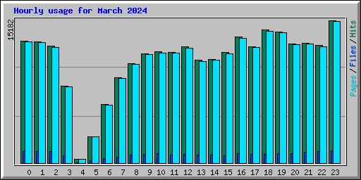 Hourly usage for March 2024