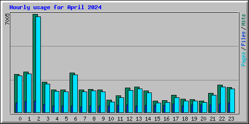 Hourly usage for April 2024