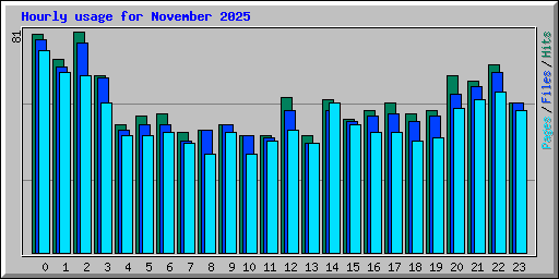 Hourly usage for November 2025