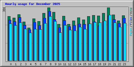Hourly usage for December 2025
