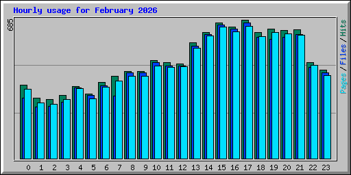 Hourly usage for February 2026